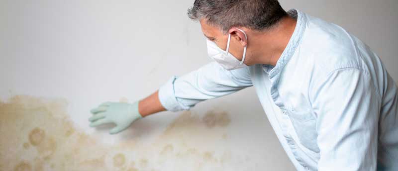 Professionel skimmelundersøgelse