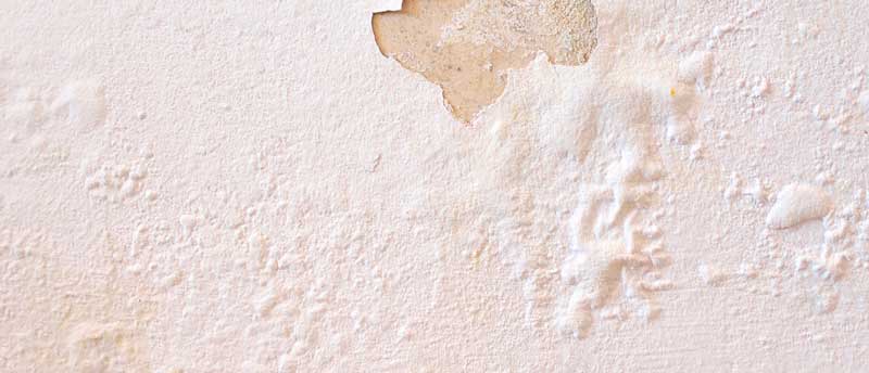 Test for fugt i kælder